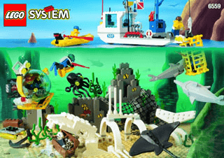 BUILDING INSTRUCTION 6559 IN